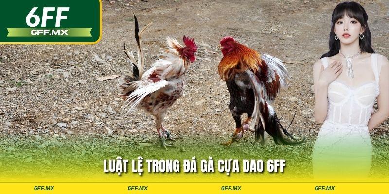 Luật lệ trong đá gà cựa dao 6FF