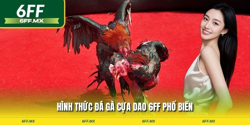 Hình thức đá gà cựa dao 6FF phổ biến